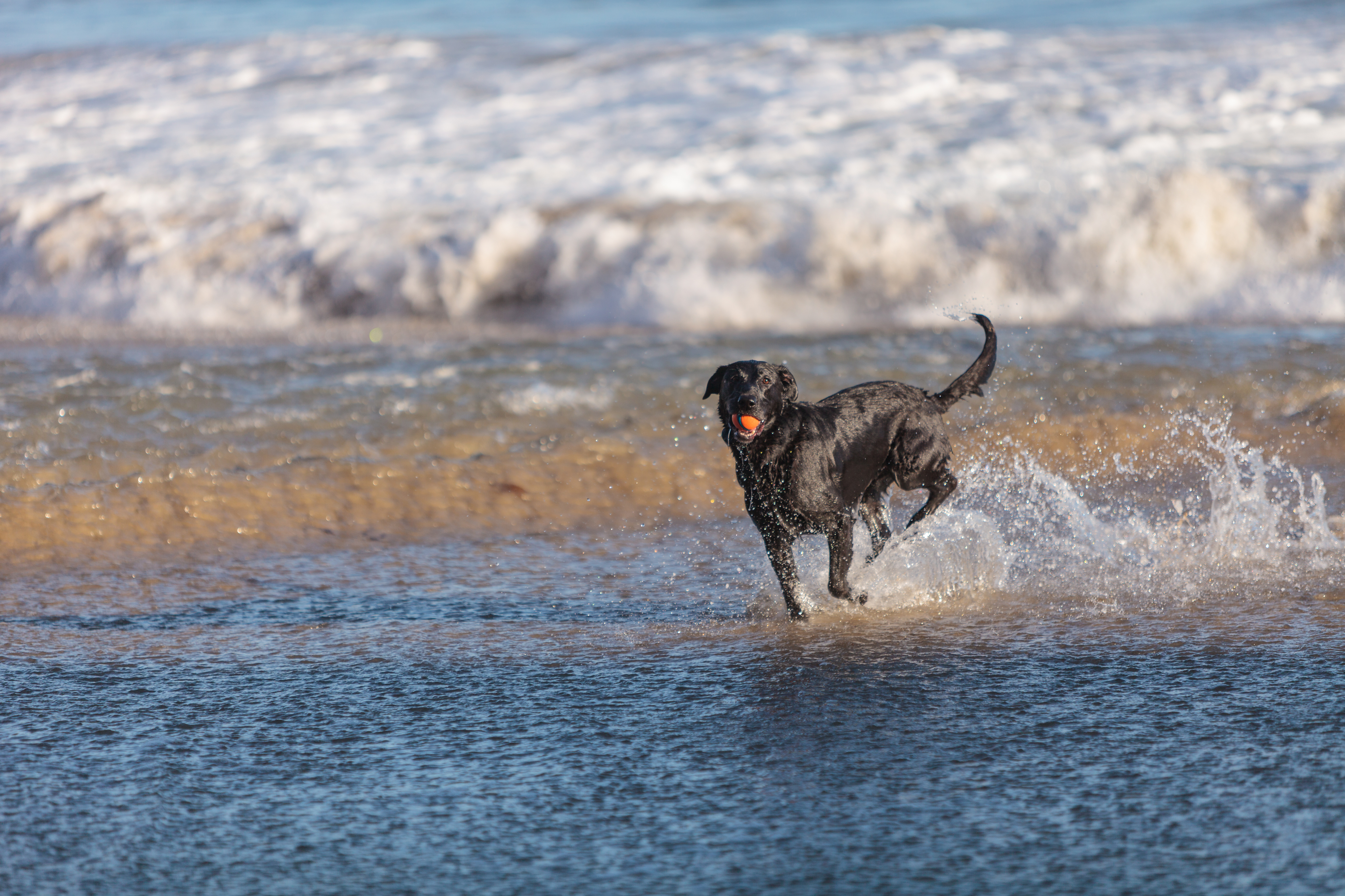 Cape Cod Beaches Best Beaches in Cape Cod